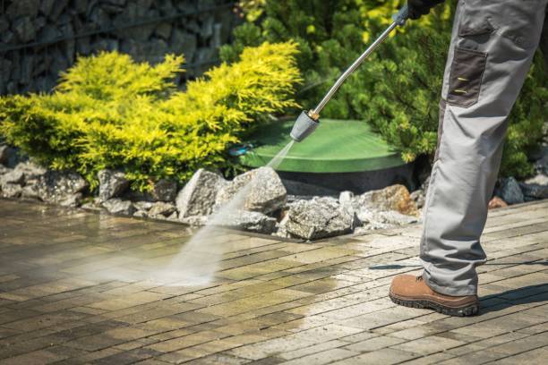 Best Winterizing Services  in Moundsville, WV